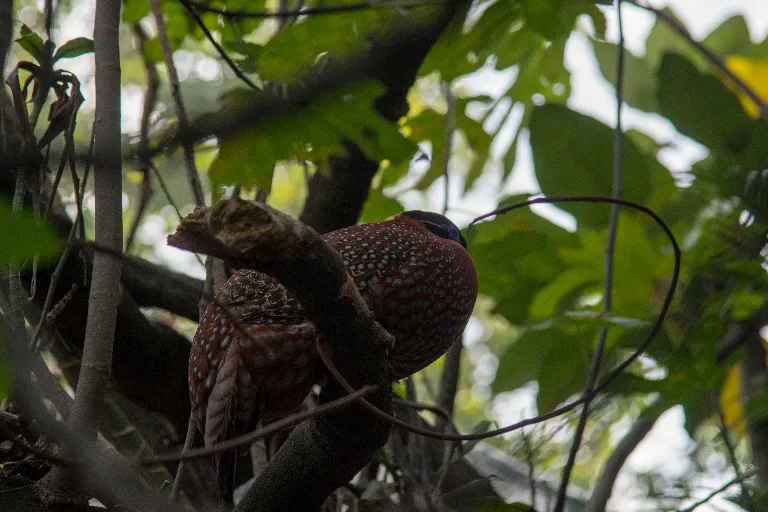20180114-DSC_3591