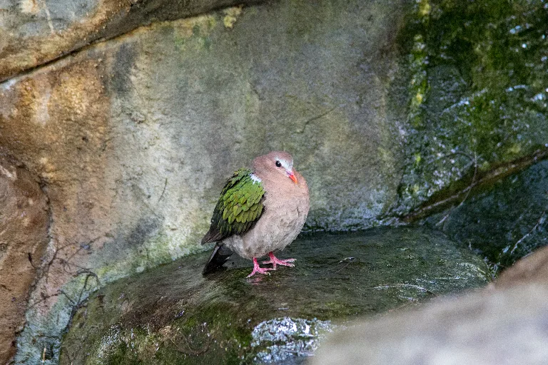 20180114-DSC_3592