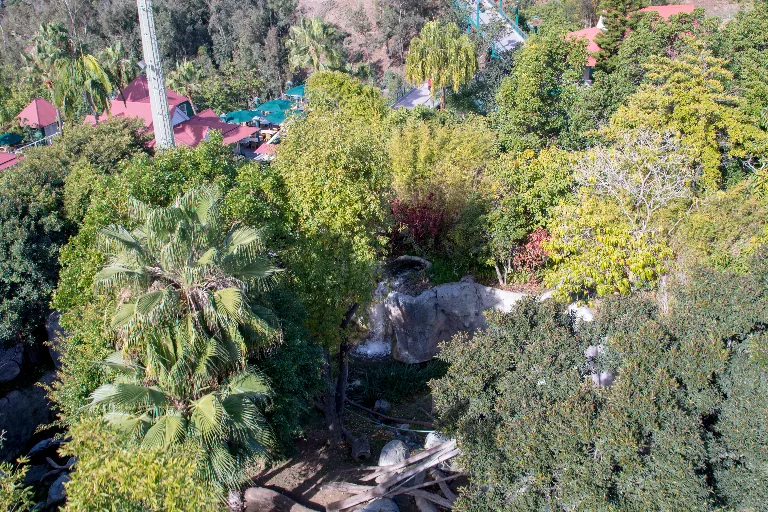 20180114-DSC_3620