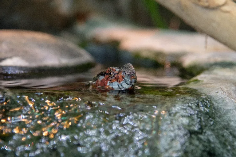 20180114-DSC_3642