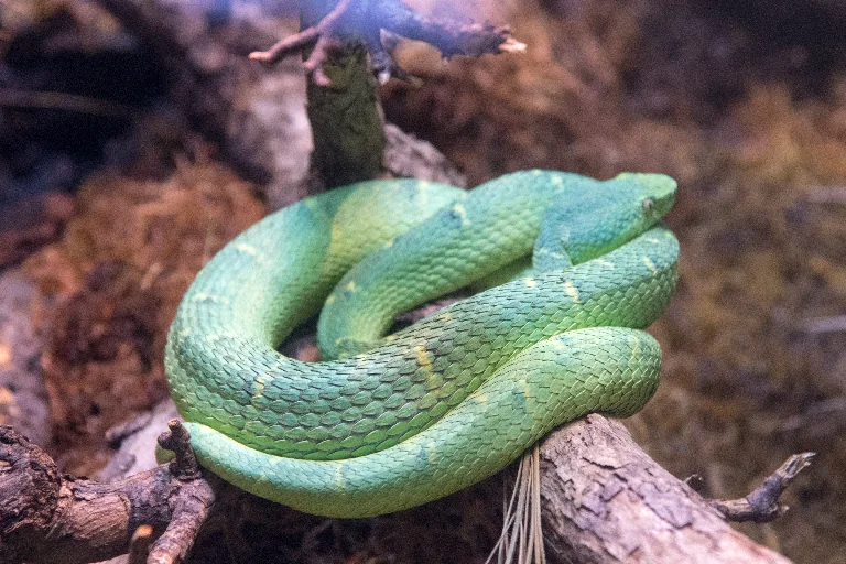 20180114-DSC_3652