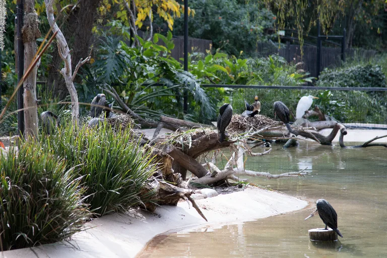 20180114-DSC_3790