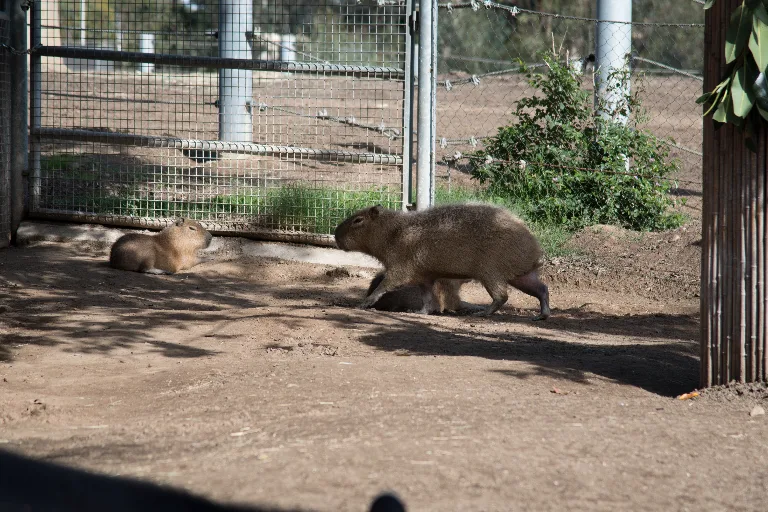 20180114-DSC_3967