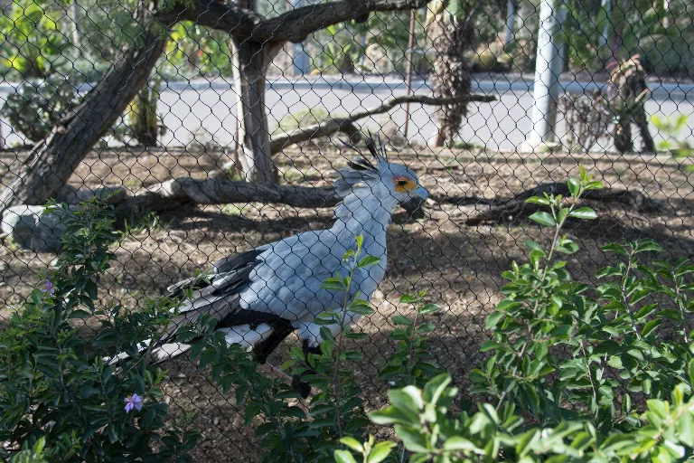 20180114-DSC_4002