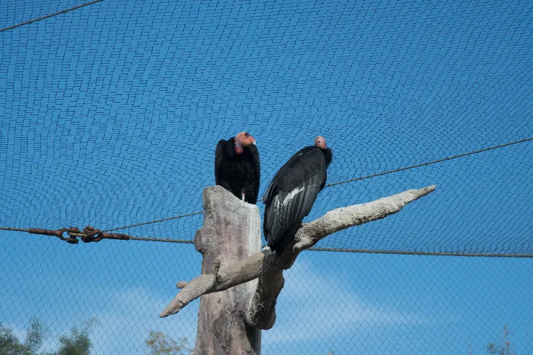 20180114-DSC_4057