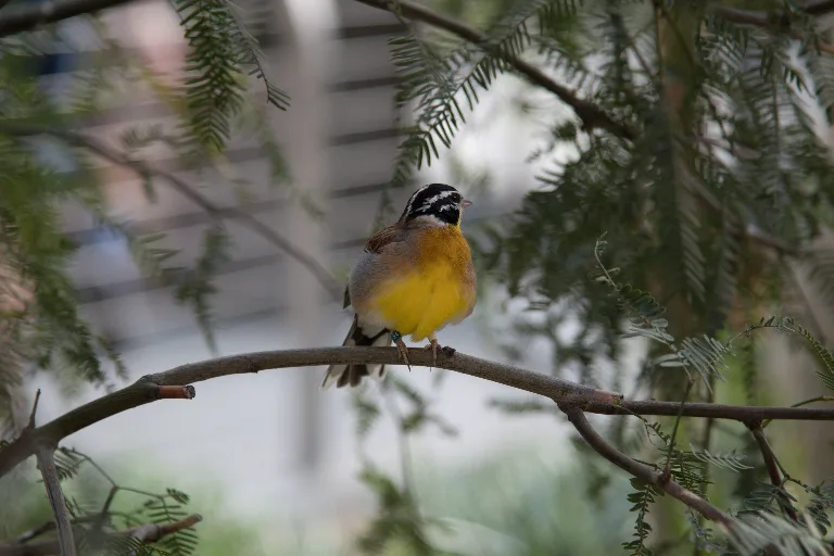 20180114-DSC_4105