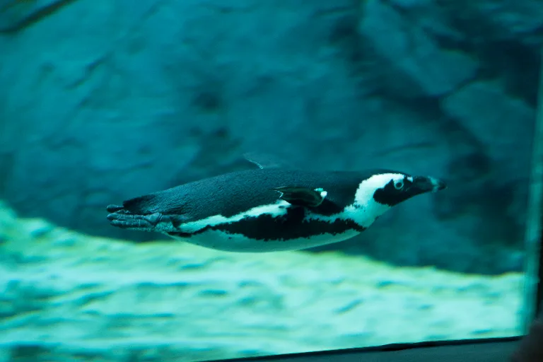 20180114-DSC_4177
