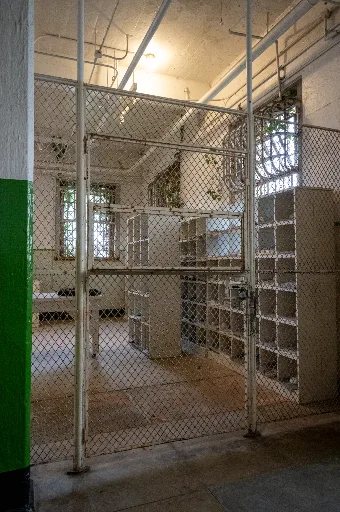 20240131-DSC_6358-2