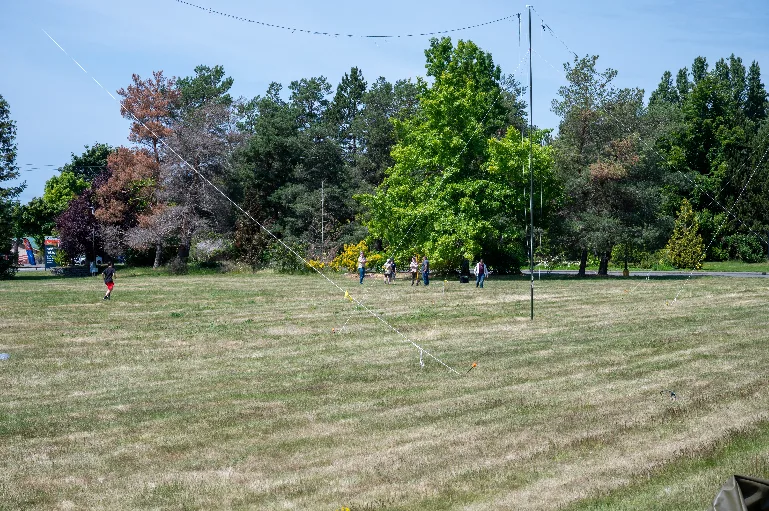 20230624-DSC_1519