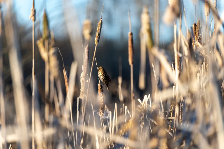20240313-DSC_8878