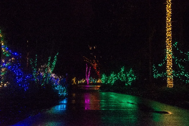 20181213-DSC_8878