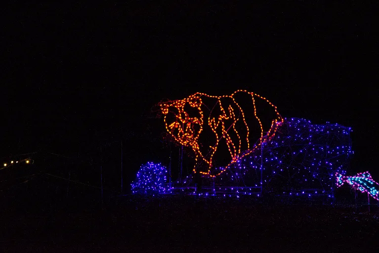 20181213-DSC_8882