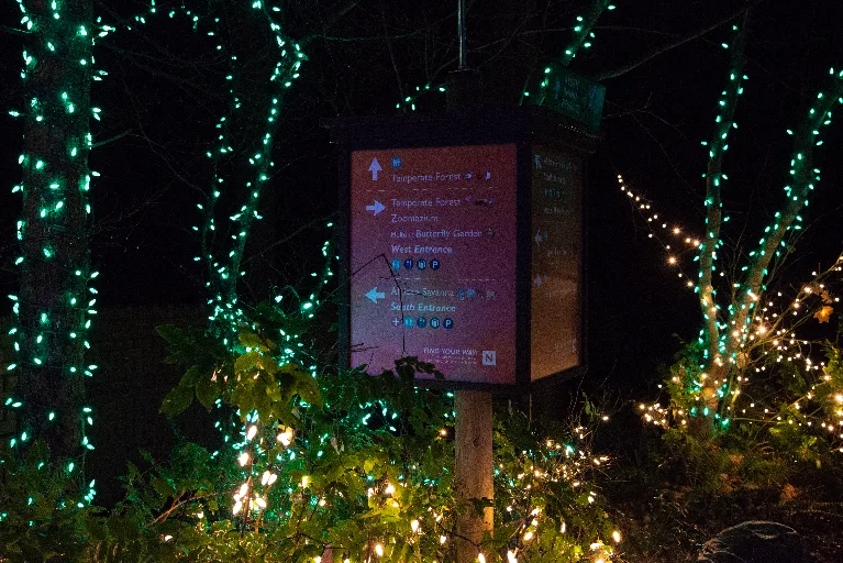 20181213-DSC_8883