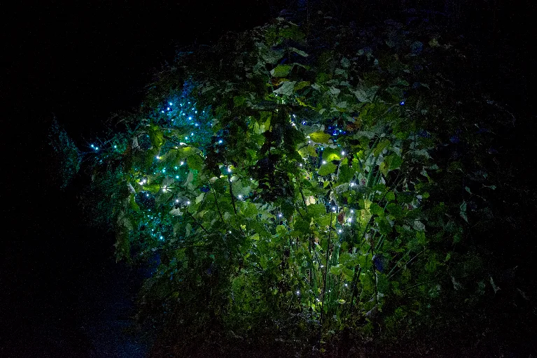 20181213-DSC_8886