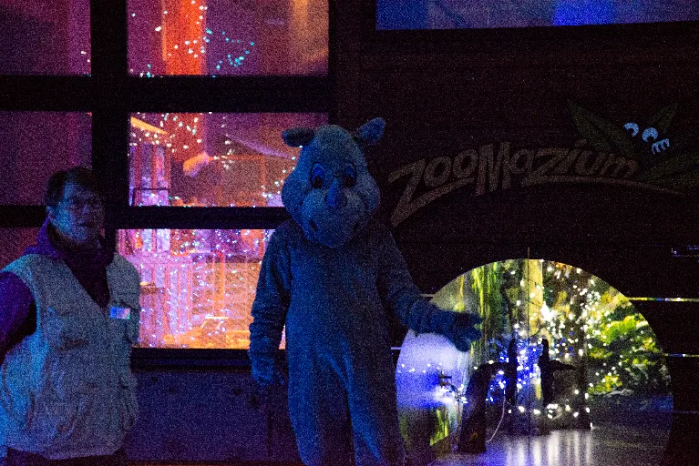 20181213-DSC_8896