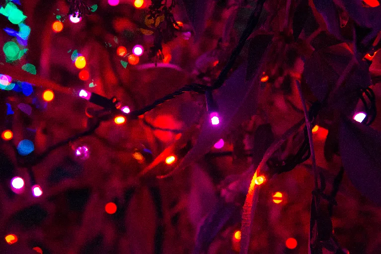 20181213-DSC_8907