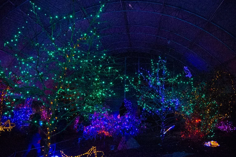 20181213-DSC_8912