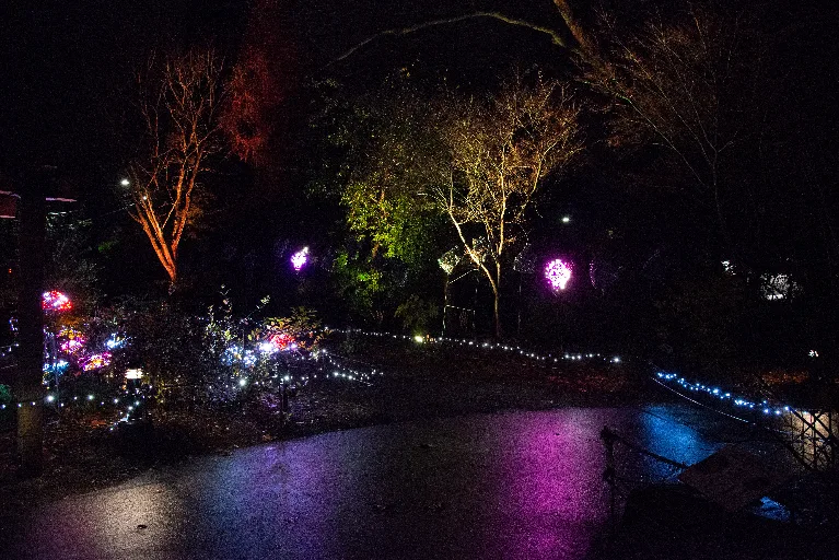 20181213-DSC_8919