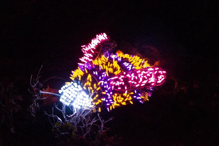 20181213-DSC_8922