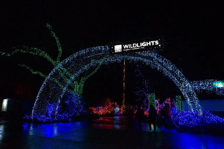 20181213-DSC_8937