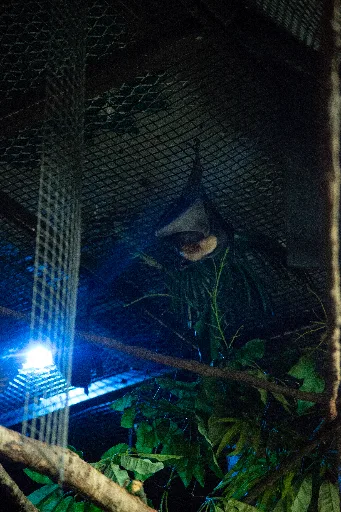 20181213-DSC_8964