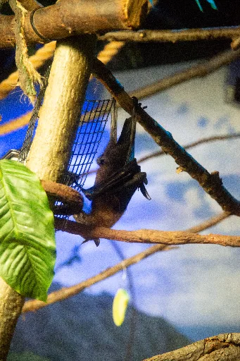 20181213-DSC_8966