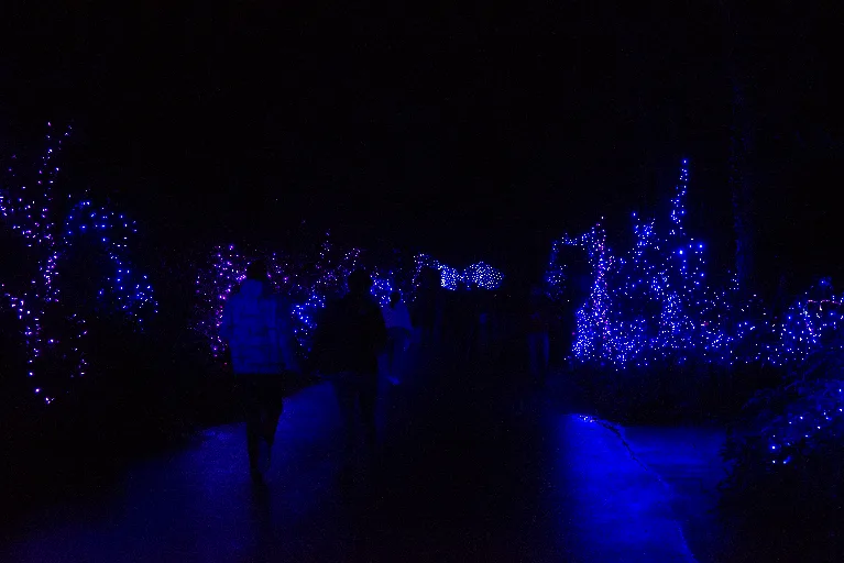20181213-DSC_8980