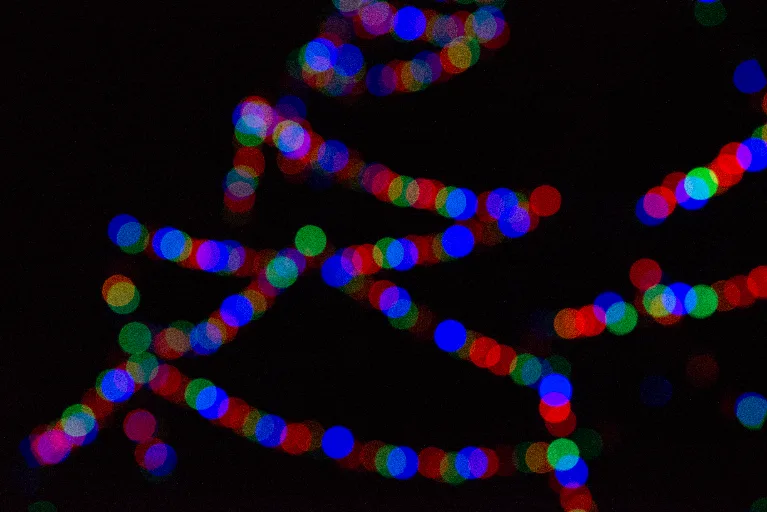 20181213-DSC_9000