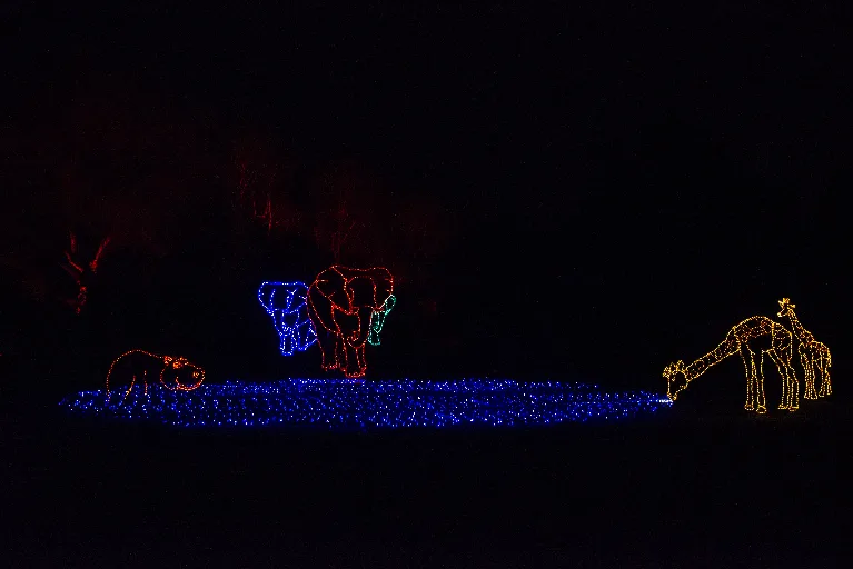 20181213-DSC_9031
