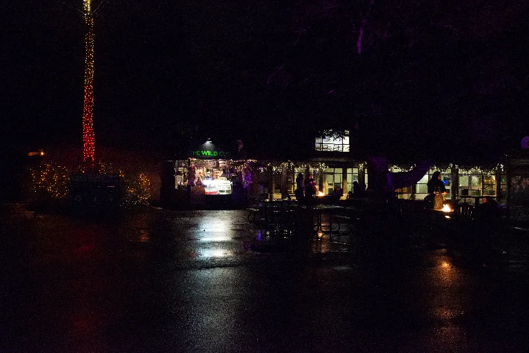 20181213-DSC_9046