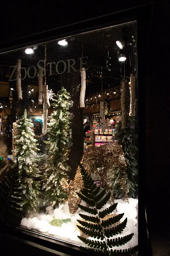 20181213-DSC_9063