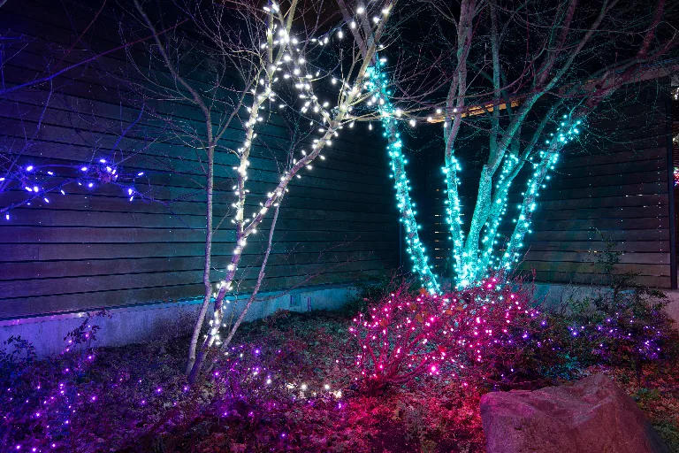 20181215-DSC_0409