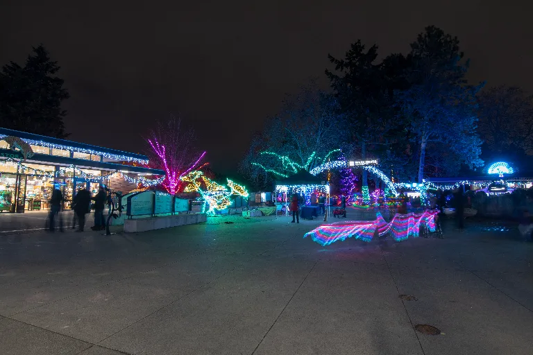 20181215-DSC_0416