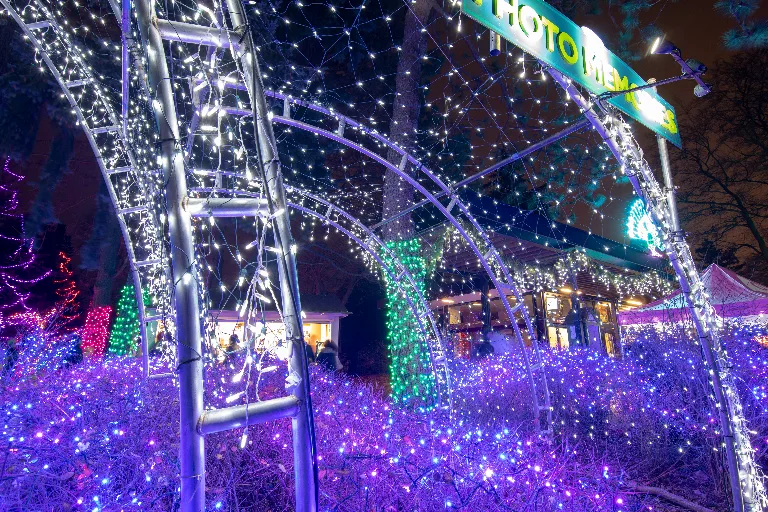 20181215-DSC_0426