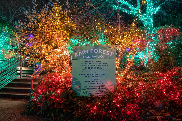 20181215-DSC_0434