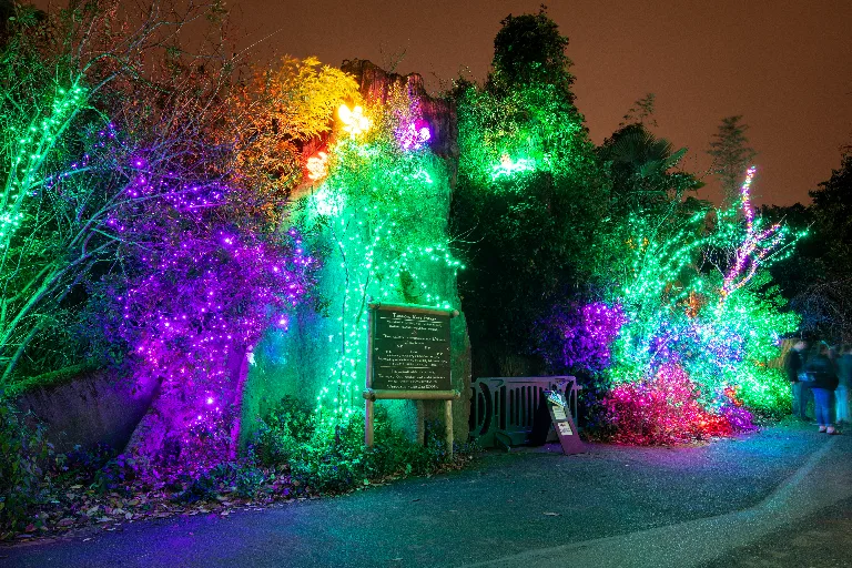 20181215-DSC_0436
