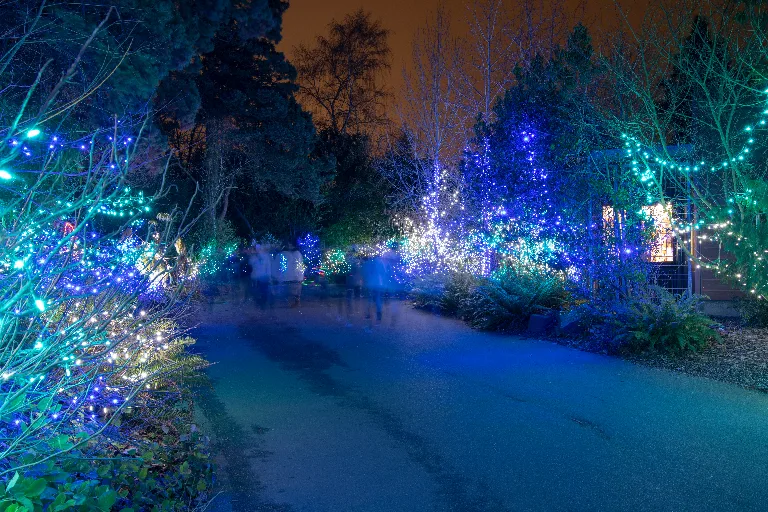 20181215-DSC_0445