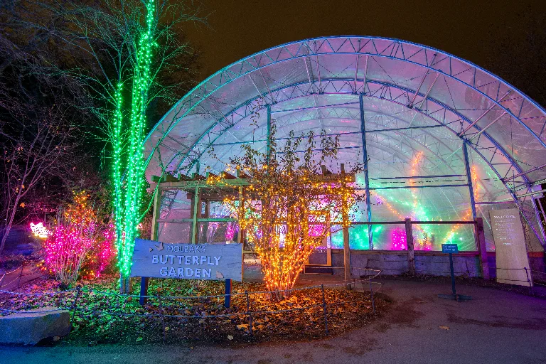 20181215-DSC_0447