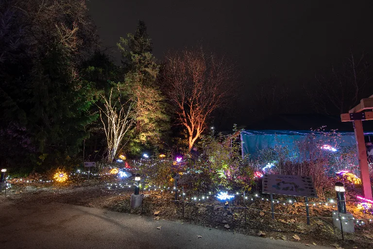 20181215-DSC_0454