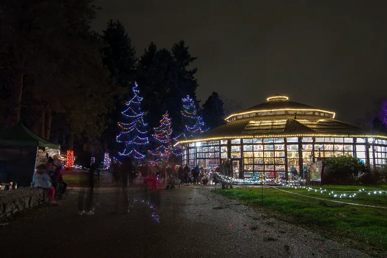 20181215-DSC_0476