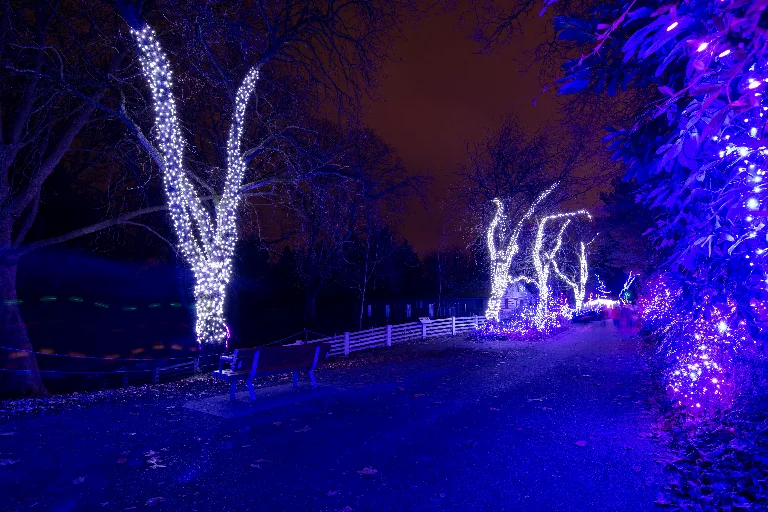 20181215-DSC_0499
