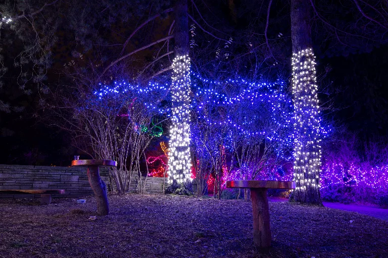 20181215-DSC_0507