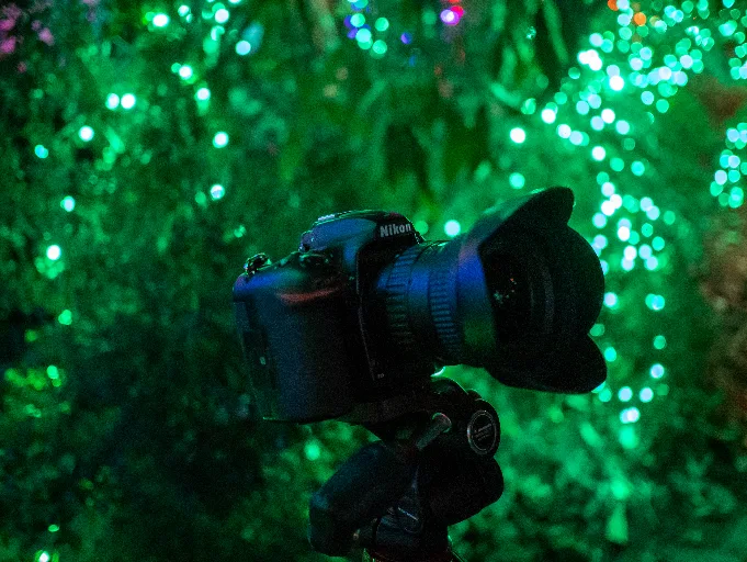 20181215-P1060292