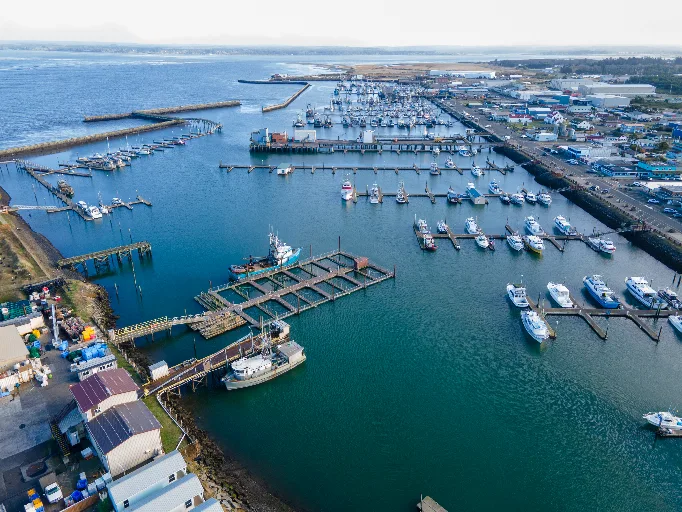 20221105-DJI_0603