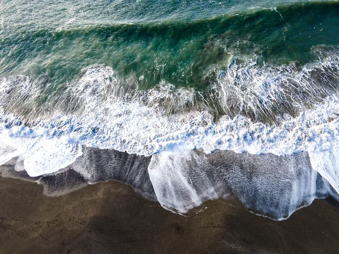 20221105-DJI_0612