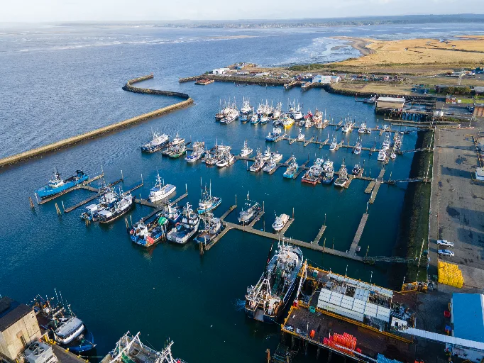 20221105-DJI_0636