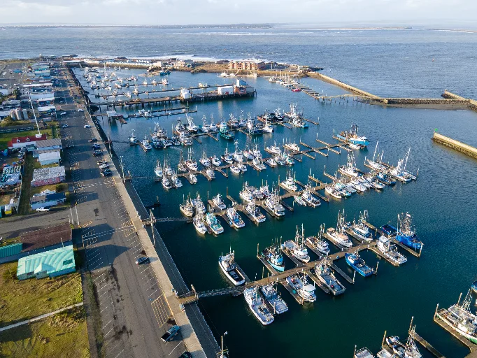 20221105-DJI_0637