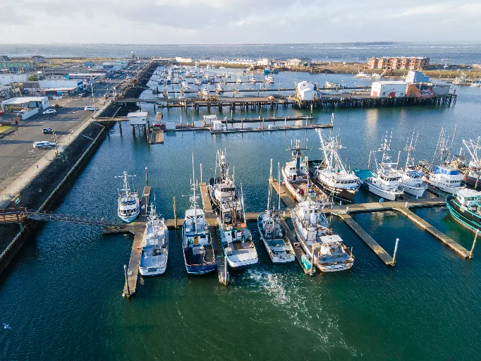 20221105-DJI_0641