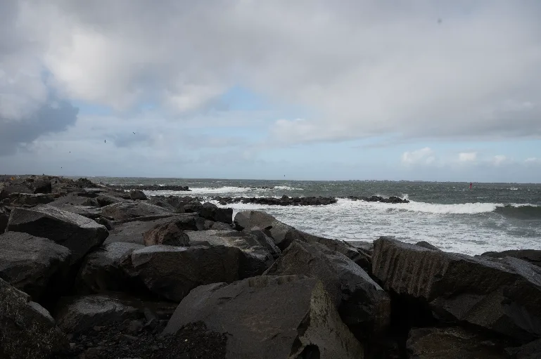 20221105-DSC_8807