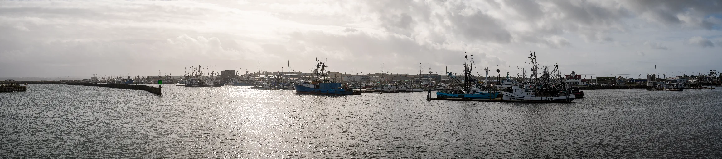 20221105-DSC_9007-Pano
